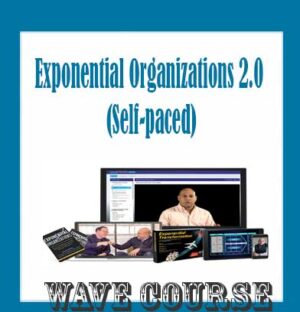 Exponential Organizations 2.0 (Self-paced) - Salim Ismail and Kent Langley
