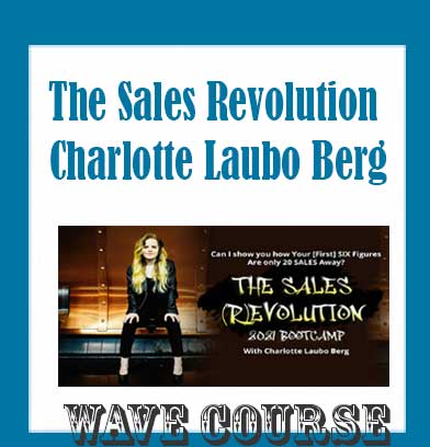 The Sales Revolution - Charlotte Laubo Berg